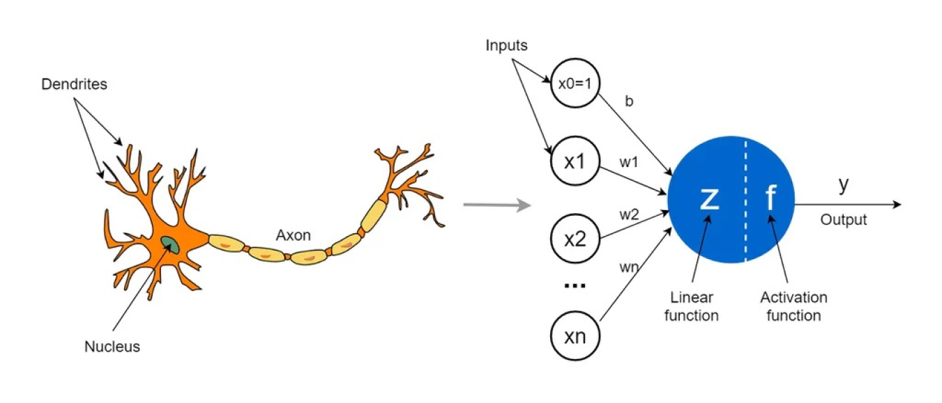Perceptron